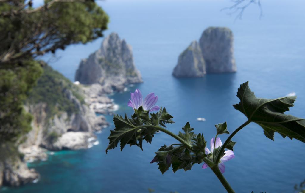 Hotel Bussola Anacapri  Dış mekan fotoğraf